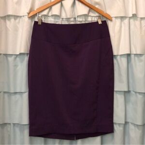 The Limited Elegant Purple Women's Skirt